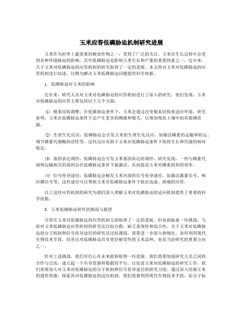 玉米应答低磷胁迫机制研究进展