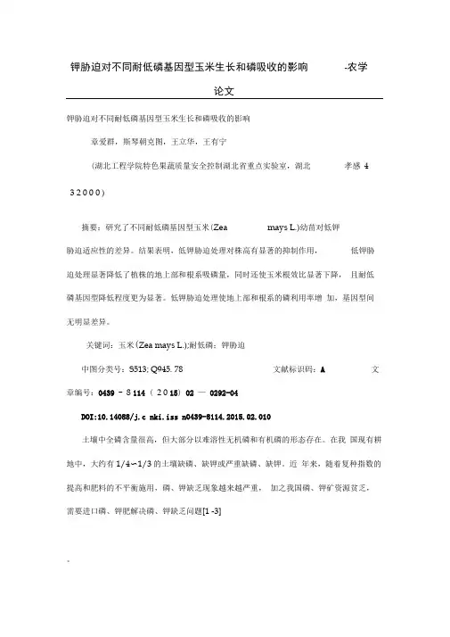 钾胁迫对不同耐低磷基因型玉米生长和磷吸收影响