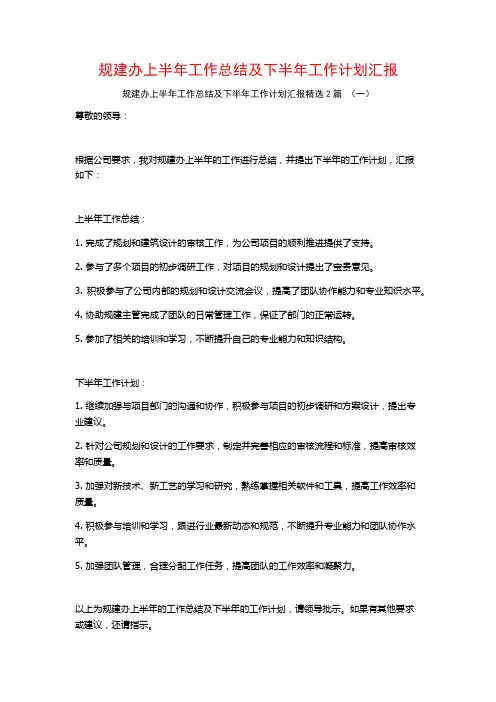 规建办上半年工作总结及下半年工作计划汇报2篇