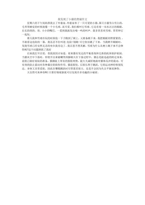 我发现了小猫的奥秘作文