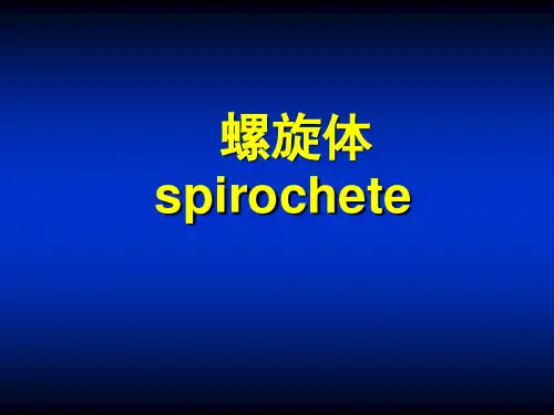 螺旋体