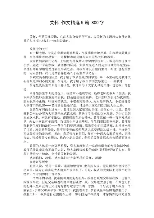 关怀 作文精选5篇 800字
