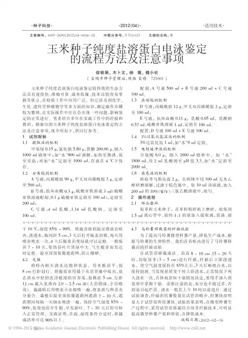 玉米种子纯度盐溶蛋白电泳鉴定的流程方法及注意事项