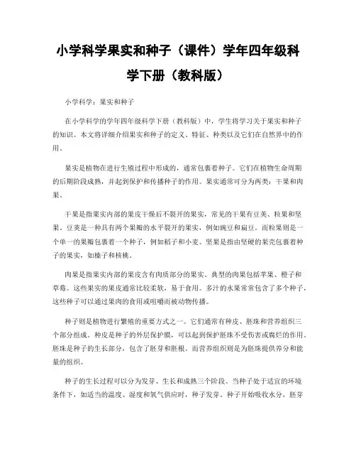小学科学果实和种子(课件)学年四年级科学下册(教科版)