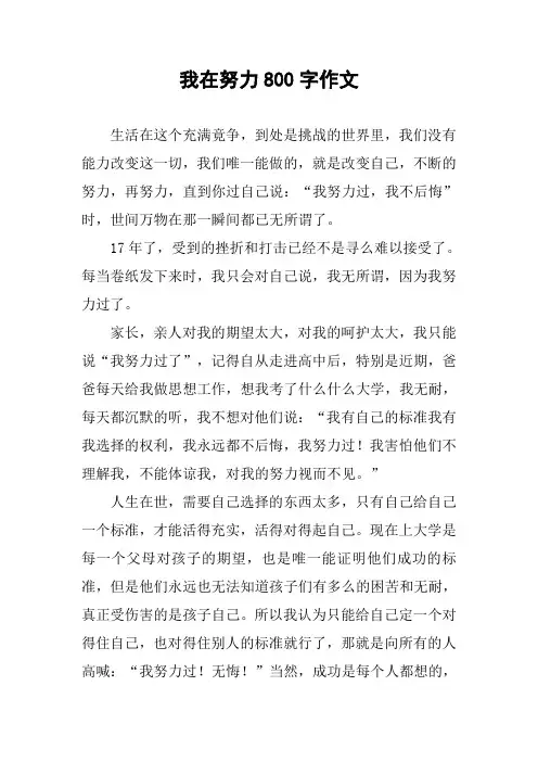 我在努力800字作文