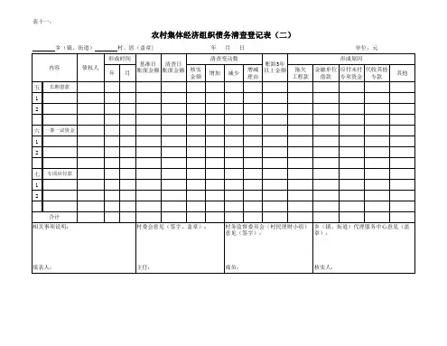 表十一：农村集体经济组织债务清查登记表(二)