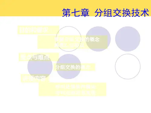 分组交换技术