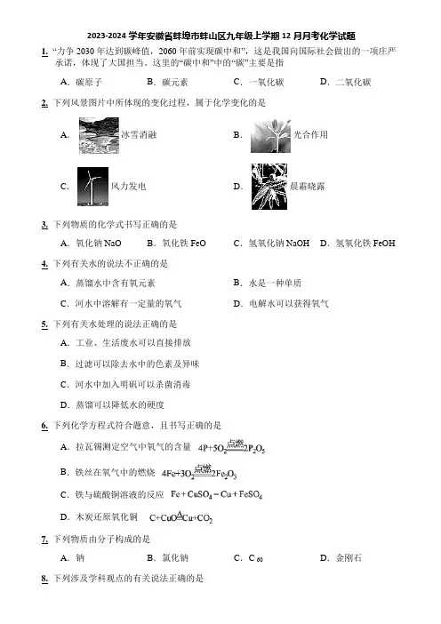 2023-2024学年安徽省蚌埠市蚌山区九年级上学期12月月考化学试题