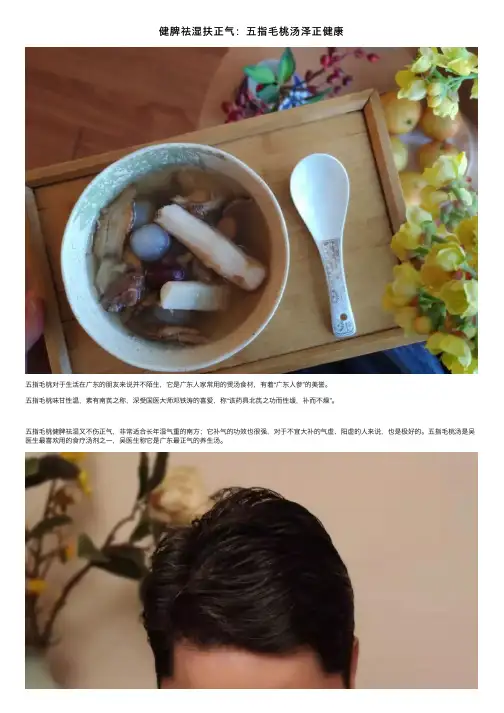 健脾祛湿扶正气：五指毛桃汤泽正健康