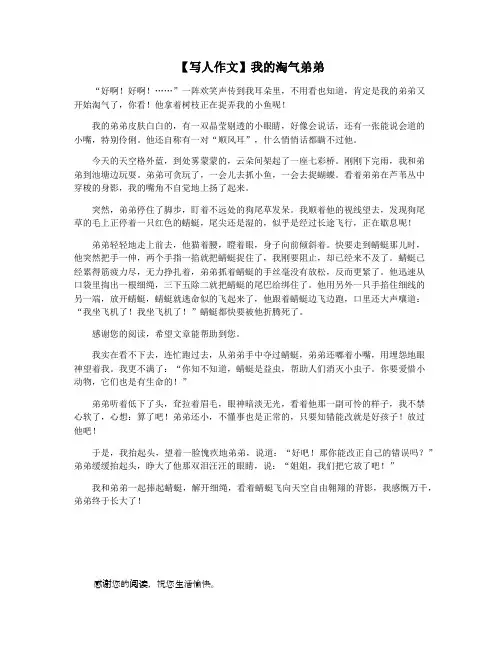 【写人作文】我的淘气弟弟
