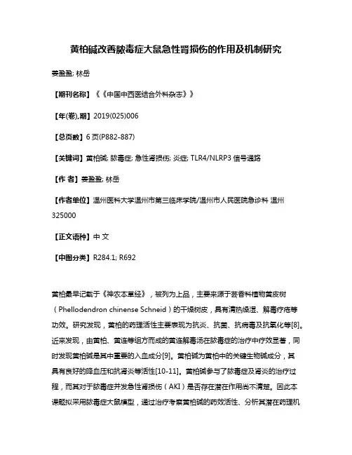 黄柏碱改善脓毒症大鼠急性肾损伤的作用及机制研究