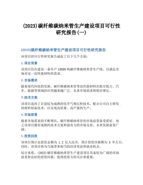 (2023)碳纤维碳纳米管生产建设项目可行性研究报告(一)