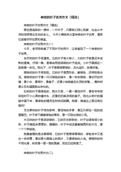 神奇的叶子优秀作文「精选」