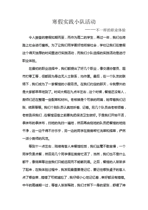 寒假实践小队活动