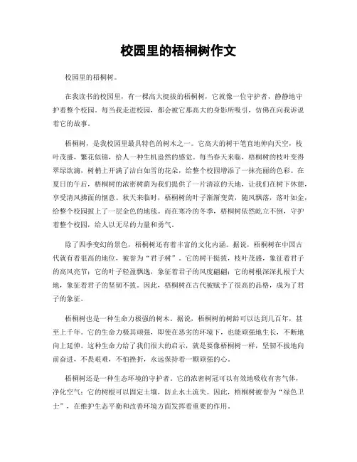 校园里的梧桐树作文