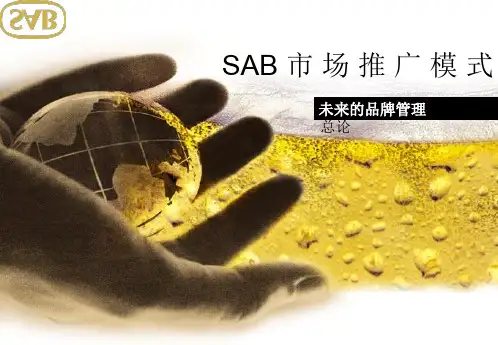 SAB市场推广模式