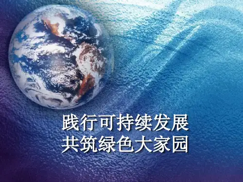 人教版高中化学选修化学与生活保护生存环境爱护水资源 PPT教学模板(演示课件)