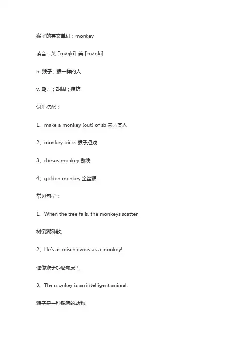 猴子的单词