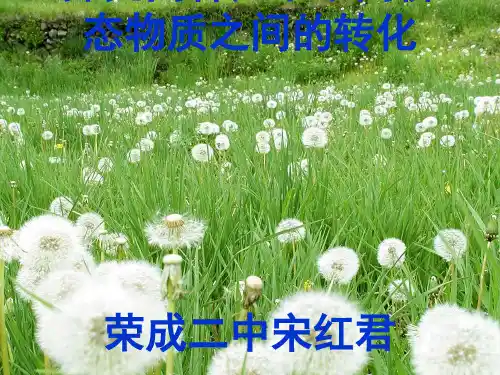 化学课件《实验室里研究不同价态硫元素间的转化》优秀ppt1(4份打包) 鲁科版