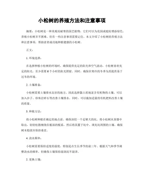 小松树的养殖方法和注意事项