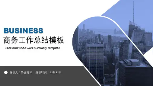 商务工作总结汇总管理报告PPT模板 (2)