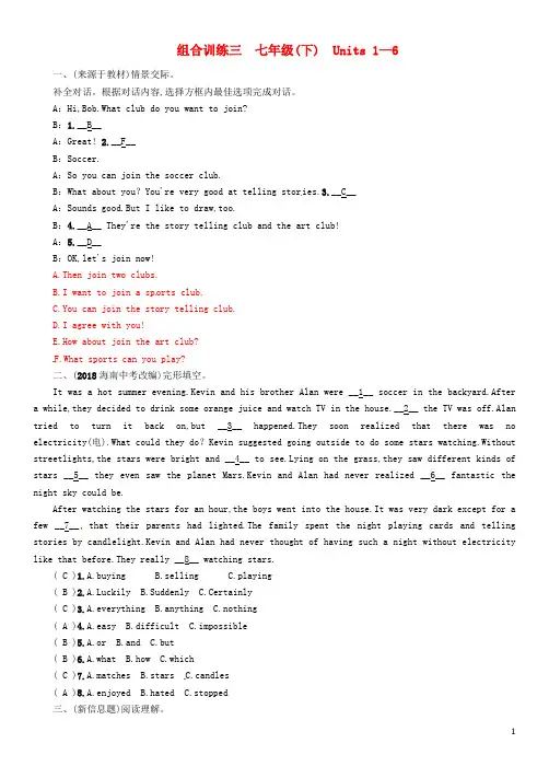 (贵阳专版)2019中考英语总复习 第1部分 教材知识梳理篇 组合训练3 七下 Units 1-6(精练)检测