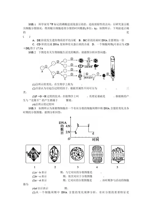 苏教版  细胞增殖、分化、衰老和凋亡 单元测试