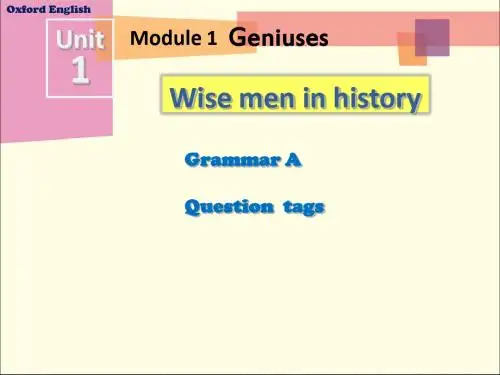 牛津深圳版(广州沈阳通用)九年级英语上Module 1 Unit 1 Grammar教学课件
