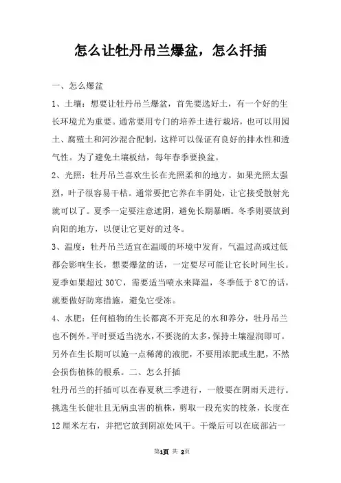 怎么让牡丹吊兰爆盆,怎么扦插 