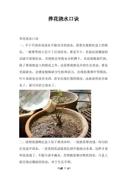 养花浇水口诀