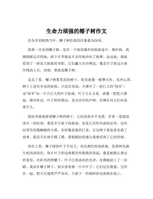 生命力顽强的椰子树作文