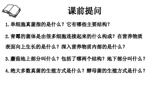 人教版 生物 八年级 上册 第五单元 第四章 第四节 细菌和真菌在自然界中的作用(27张PPT)