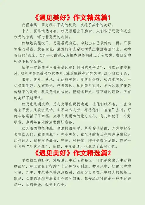 《遇见美好》作文精选3篇