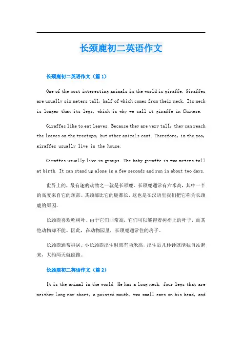 长颈鹿初二英语作文