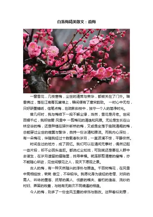 白落梅精美散文：疏梅