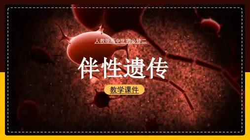 高中生物人教版必修二《第二章第三节伴性遗传》课件