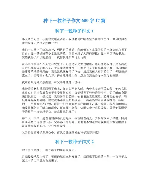 种下一粒种子作文600字17篇