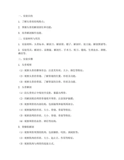 实验报告解剖头骨结构