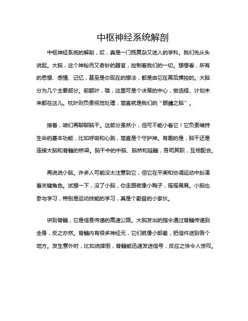 中枢神经系统解剖