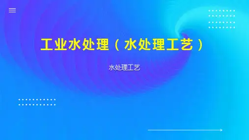 工业水处理(水处理工艺)