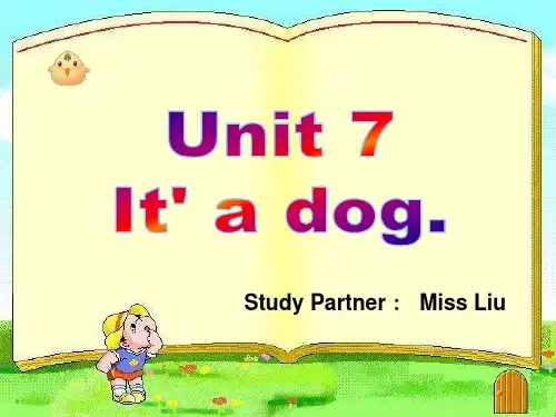 湘少版三年级上册Unit7-it's-a-dog课件