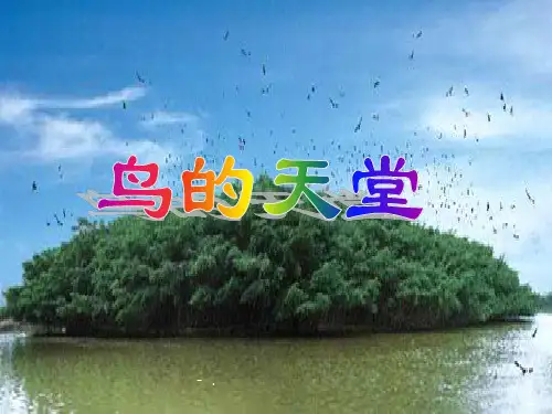 《鸟的天堂》PPT教学课件
