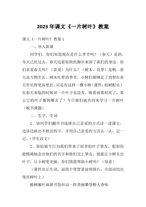 2023年课文《一片树叶》教案