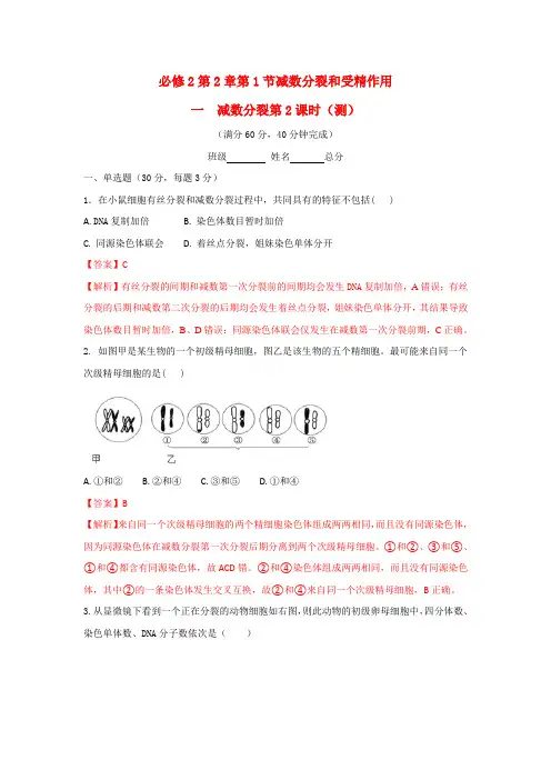 人教版高中生物必修2 第2章第1节减数分裂和受精作用第2课时(测)(教师版) 