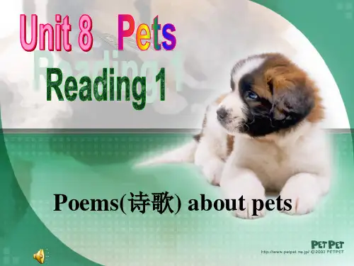 新牛津译林版七年级英语下册Unit 8 Pets reading 优质课课件(35张)