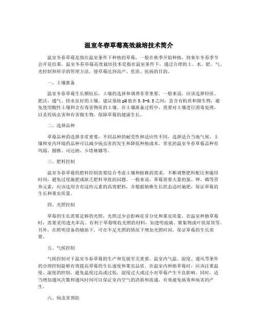 温室冬春草莓高效栽培技术简介