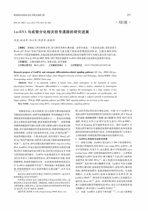 LncRNA与成骨分化相关信号通路的研究进展