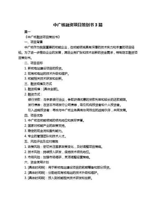 中广核融资项目策划书3篇