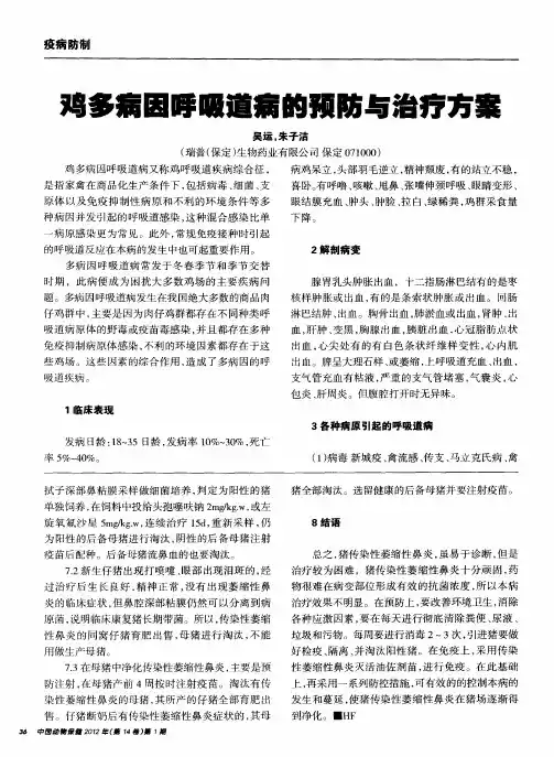 鸡多病因呼吸道病的预防与治疗方案