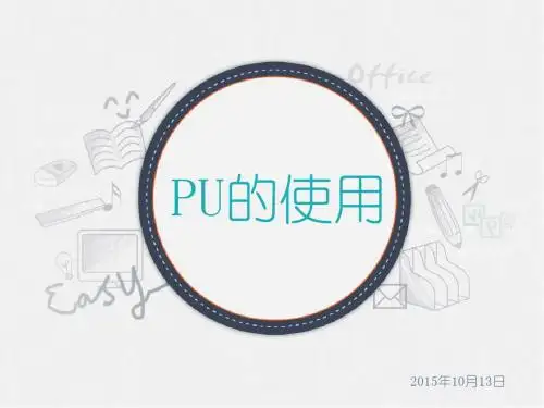 PU使用说明解析